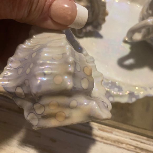 Elegant Iridescent Shell Dish Set - Picture 6 of 16